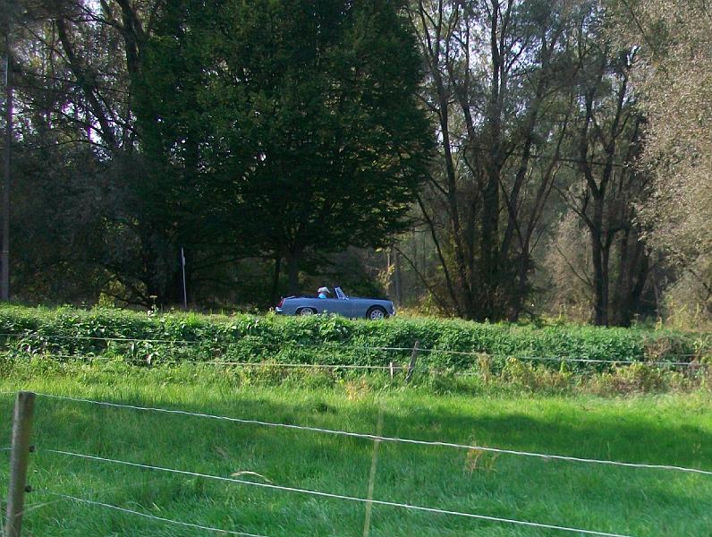 De namiddagrit verkennen we het Pajottenland en de Vlaamse Ardennen, met de Hellingen en Kasseistroken uit de Ronde van Vlaanderen (3).JPG